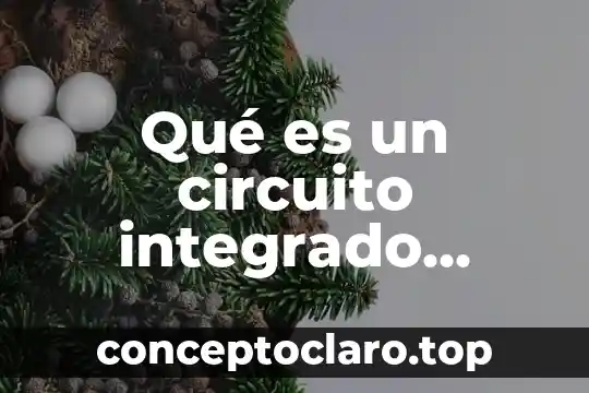 Qué es un circuito integrado peculiar