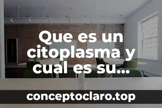 Que es la electroquímica y cual es su importancia 3 Que es un citoplasma y cual es su funcion
