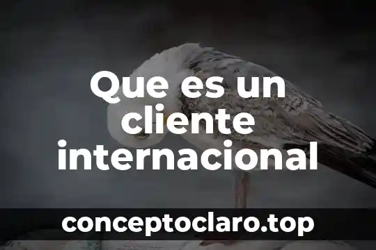 Que es un cliente internacional