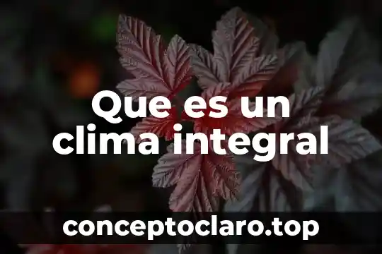 Que es un clima integral