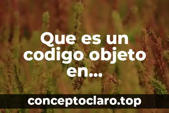 Que es un codigo objeto en programacion