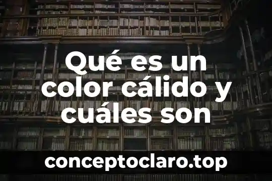 Qué es contabilidad y cuáles son sus cuentas 5 Qué es un color cálido y cuáles son