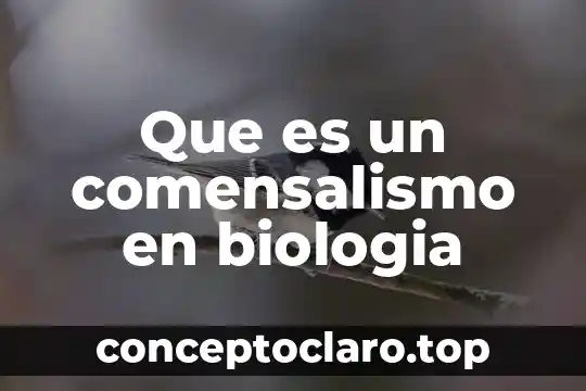 Que es un comensalismo en biologia