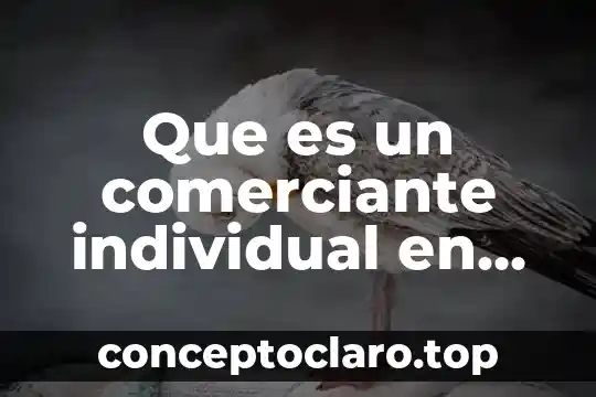 Que es un comerciante individual en derecho mercantil