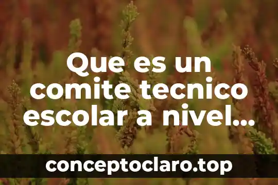 Que es un comite tecnico escolar a nivel bachillerato