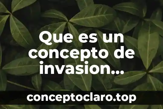 Que es un concepto de invasion informatica