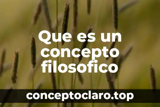 Que es un contexto filosofico yahoo 5 Que es un concepto filosofico