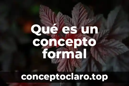 Qué es un concepto formal