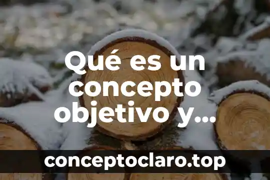Qué es un concepto objetivo y subjetivo