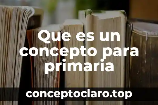 Qué es el concepto constructivo 8 Que es un concepto para primaria