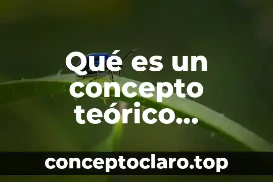 Qué es un concepto teórico metodológico