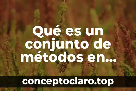 Qué es un conjunto de métodos en metodología