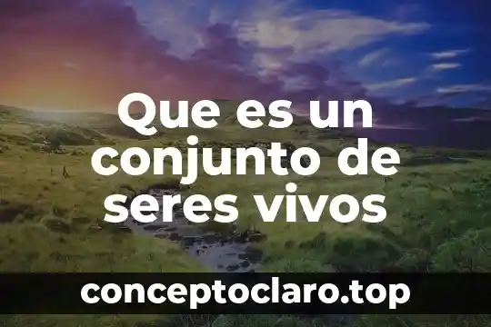 Que es un conjunto de seres vivos
