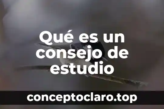 Qué es un consejo de estudio
