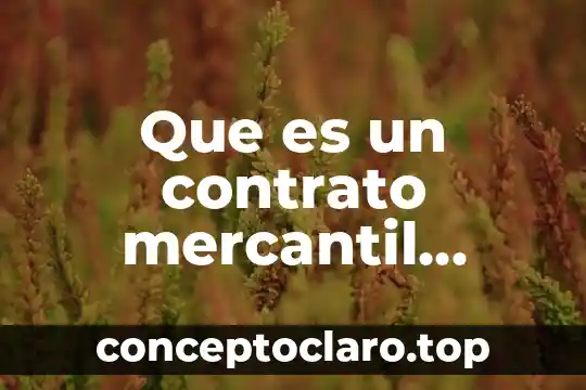 Que es un contrato mercantil atipico derecho