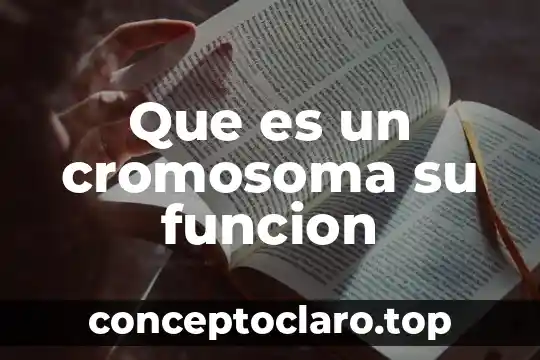 Que es duplicar un número 7 Que es un cromosoma su funcion