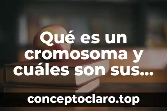 Qué es un cromosoma y cuáles son sus partes