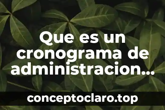 Que es un cronograma de administracion de enfermeria