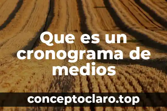 Que es un cronograma de medios