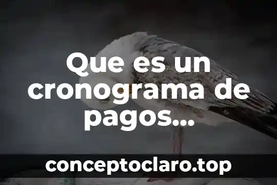 Que es la nif c5 pagos anticipados 3 Que es un cronograma de pagos concepto
