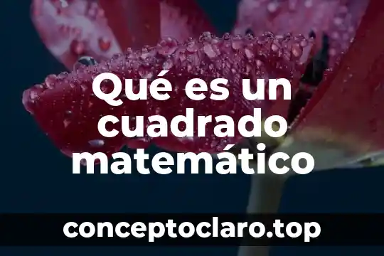 Qué es un cuadrado matemático