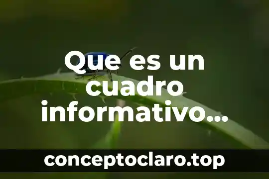 Que es un cuadro informativo caracteriscas