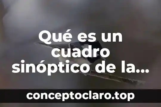 Qué es un cuadro sinóptico de la vida
