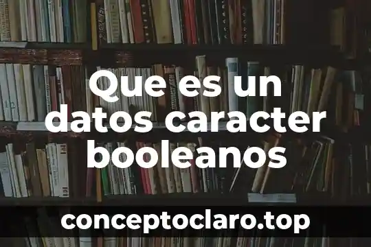 Que es un datos caracter booleanos