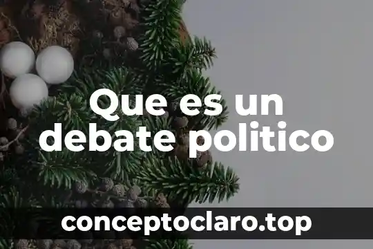 Qué es el relativismo ético y político 8 Que es un debate politico
