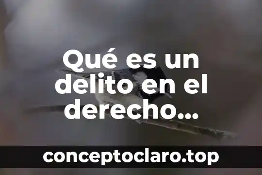 Que es prescribir en derecho mercantil 4 Qué es un delito en el derecho canónico
