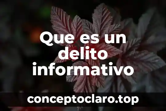 Que es un delito informativo