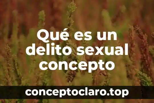 Qué es un delito sexual concepto