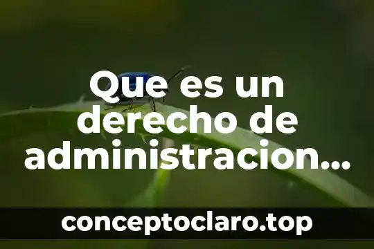 Que es hacerle justicia a una persona 8 Que es un derecho de administracion de justicia en mexico