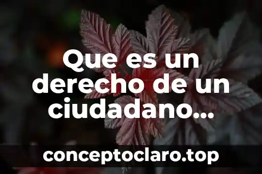 Que es prescribir en derecho mercantil 3 Que es un derecho de un ciudadano digital