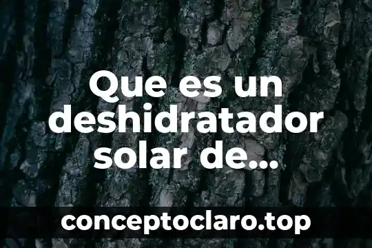 Que significa o que es un slave en informatica 5 Que es un deshidratador solar de alimentos