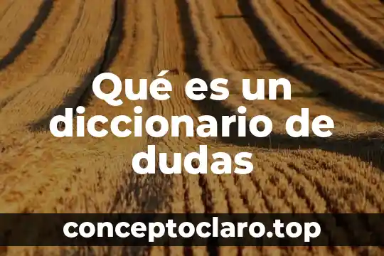 Qué es un diccionario de dudas