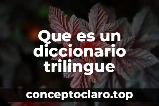 Que es un diccionario trilingue