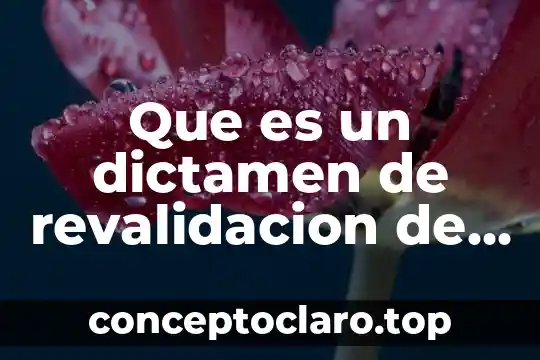 Que es un dictamen de revalidacion de estudios uaeh 2017