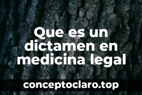 Que es dictamen pericial de causalidad vial para que sirve 6 Que es un dictamen en medicina legal