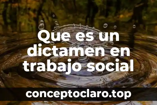 Que es dictamen pericial de causalidad vial para que sirve 4 Que es un dictamen en trabajo social