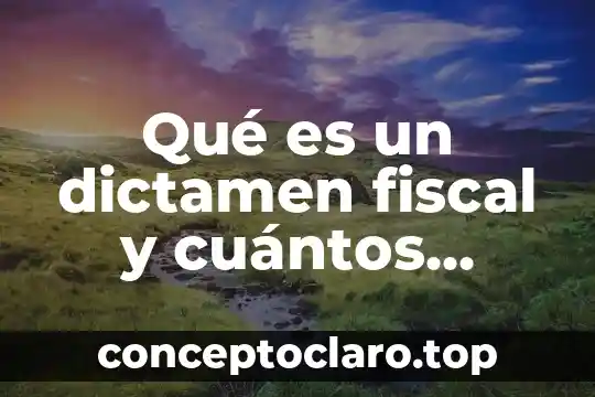 Qué es un dictamen fiscal y cuántos anexos tiene