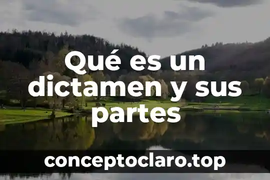 Qué es un dictamen y sus partes