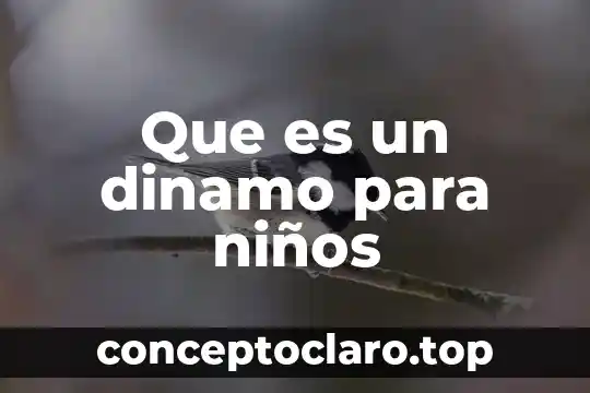 Que es un dinamo para niños