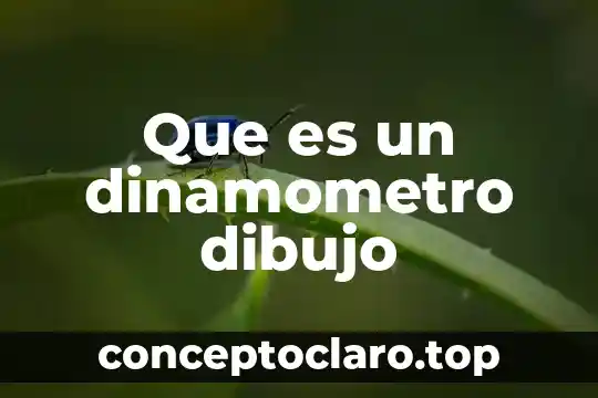 Que es plano topografico dibujo tecnico 4 Que es un dinamometro dibujo