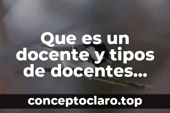 Por que es importante como docentes evaluar 5 Que es un docente y tipos de docentes slideshare