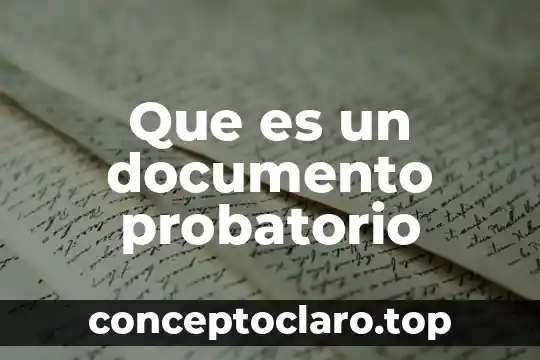 Que es un documento probatorio