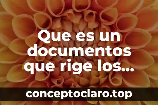 Que es un documentos que rige los derechos humanos