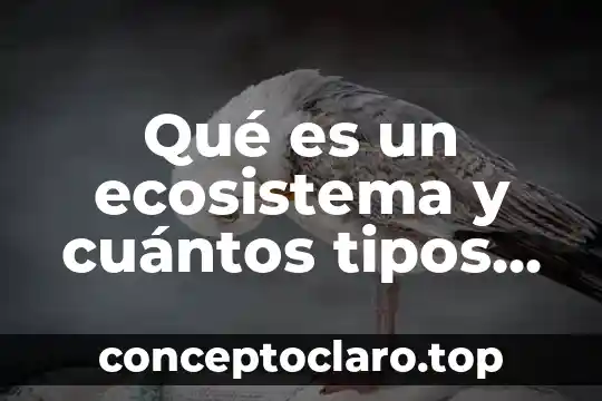 Qué es un ecosistema y cuántos tipos de ecosistemas hay