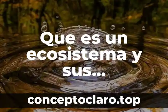 Que es la cosmologia caracteristicas 8 Que es un ecosistema y sus caracteristicas