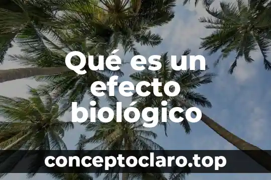 Que es un activo biologico en contabilidad 7 Qué es un efecto biológico